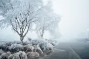 Du lịch Việt NZ - Trải nghiệm New Zealand trọn vẹn nhất - 8