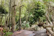 The Space - Sauna & Cold Plunge - Trải nghiệm trị liệu nóng lạnh hiện đại kết hợp thiên nhiên thư giãn - 6