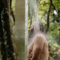 The Space - Sauna & Cold Plunge - Trải nghiệm trị liệu nóng lạnh hiện đại kết hợp thiên nhiên thư giãn - 8