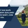 NGHỊCH LÝ KHI NUÔI CON TẠI NEW ZEALAND: CÀNG KIỂM SOÁT, CON CÀNG RỜI XA.